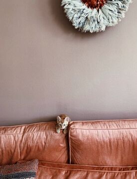 0d9f6f57 e063 45ae af64 b79bfb70dbd4