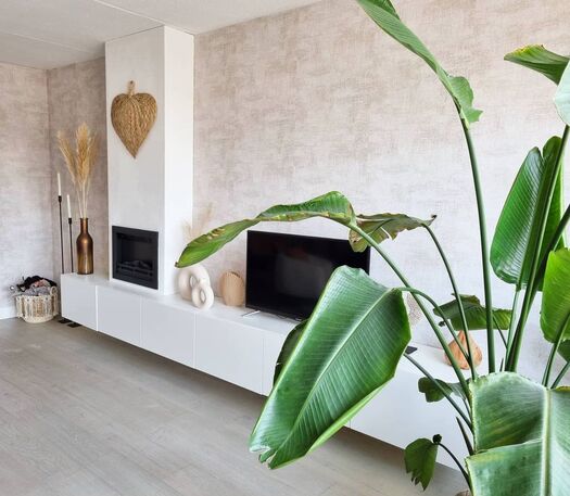 Huisje nr 67 184351279 300784081574189 2034746278892116369 n