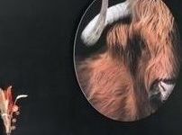 Image1 210517 121150