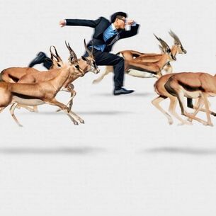 Gazellen header 2016 210323 150110