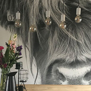 Behang header 210323 144922