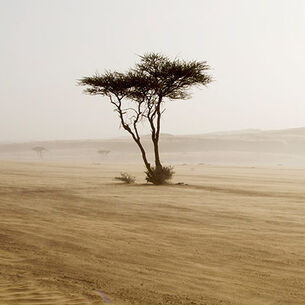 Header renee 1 210323 144154