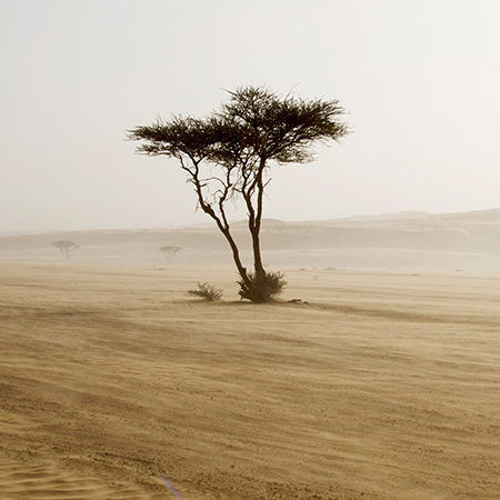 Header renee 1 210323 144154