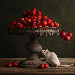 Header Carolienvan Schie 210323 144208