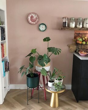 Binnenkijker Werk aan de Muur Annemieke