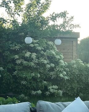 Binnenkijker Annemieke Werk aan de Muur