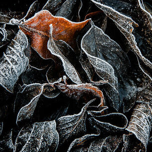 Header Lex Schulte 210323 144254