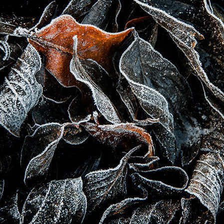 Header Lex Schulte 210323 144254