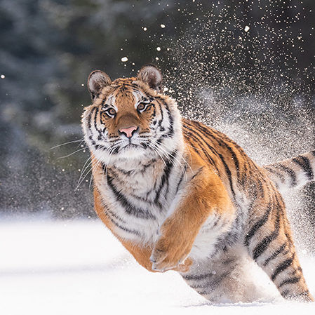 Header dick 210323 144429