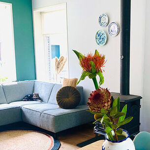 Mieke jumbotron 210728 084548