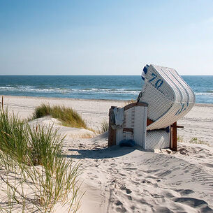 Header Reiner Wurz 210323 144408