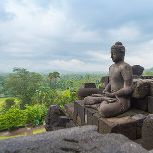 Header reneschotanus 210323 144418