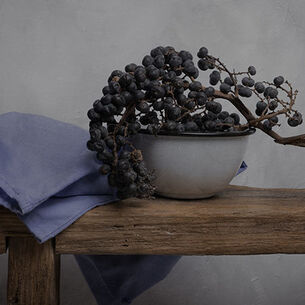 Header joskekempink 210323 144529