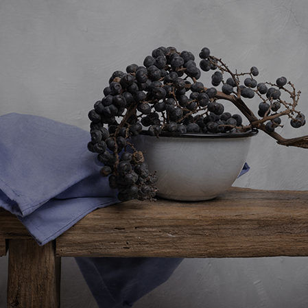 Header joskekempink 210323 144529