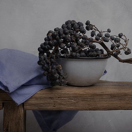 Header joskekempink 210323 144529