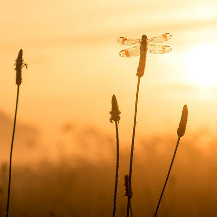 Header erik 210323 144636