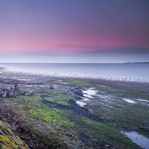 Martijnvandellen header 210323 144709