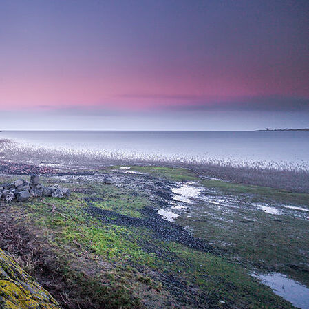 Martijnvandellen header 210323 144709