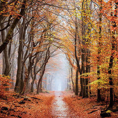 Header timvanurk 210323 144725