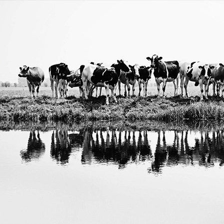 Header annemiekevanderwiel 210323 144743