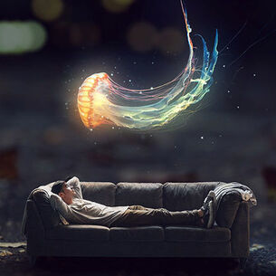 Header berthooijer 210323 144749