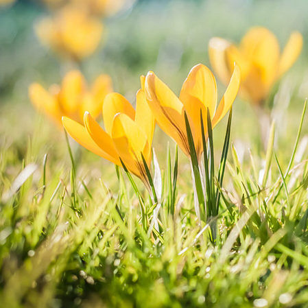 N wpheader Arja 210323 144817