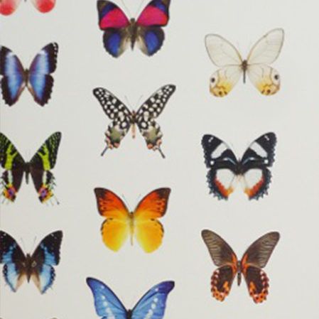 Omslag marielle leenders 210323 144916