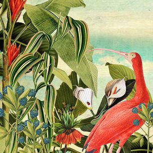 Omslag studio poppy 210323 144928