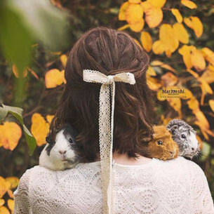 Header marloes van antwerpen 210323 145550