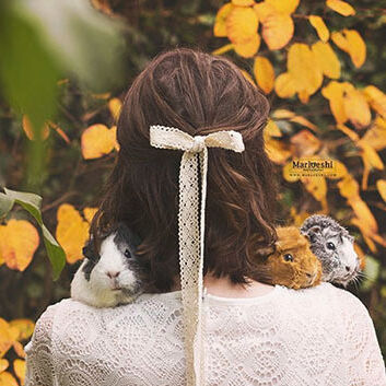 Header marloes van antwerpen 210323 145550