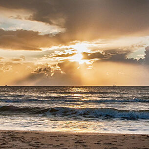 Header alex hiemstra 210323 145657