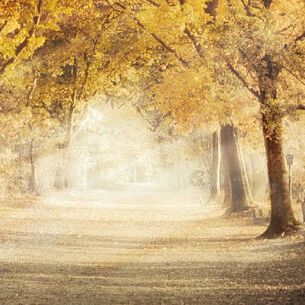 Header rob visser 210323 145727