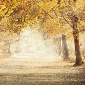 Header rob visser 210323 145727