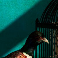 Katten 210323 150824