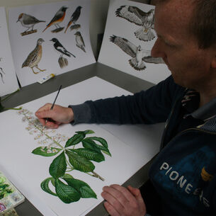 Jasper Beeldmaker vierkant