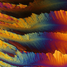 Wieringa 210323 150928