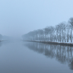 Ronbuist 210323 151743