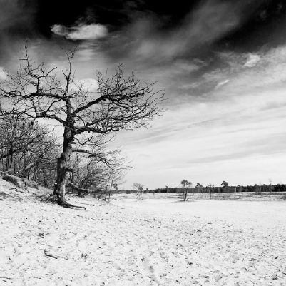 Thomas 210323 152355