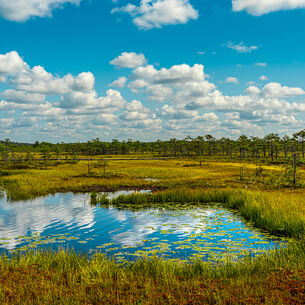 Ronald Beeldmaker vierkant