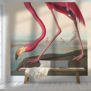 295650 5d11d30022a5cc70e3bceb5897ab6d3a