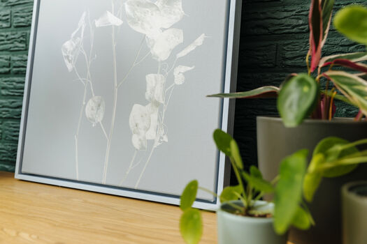 20210902 165715 52 A8496 Bibi Veth