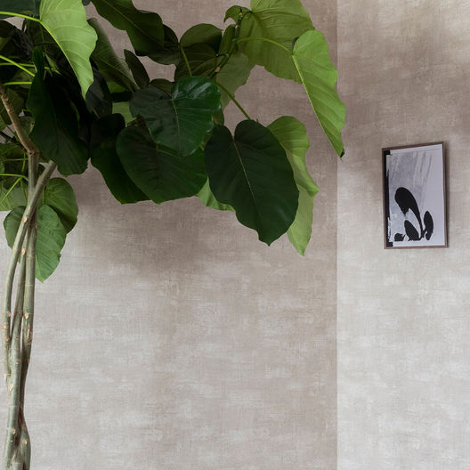 Vttv wvojh S15 E01 Noordwijk Vierkant 1080x1080px