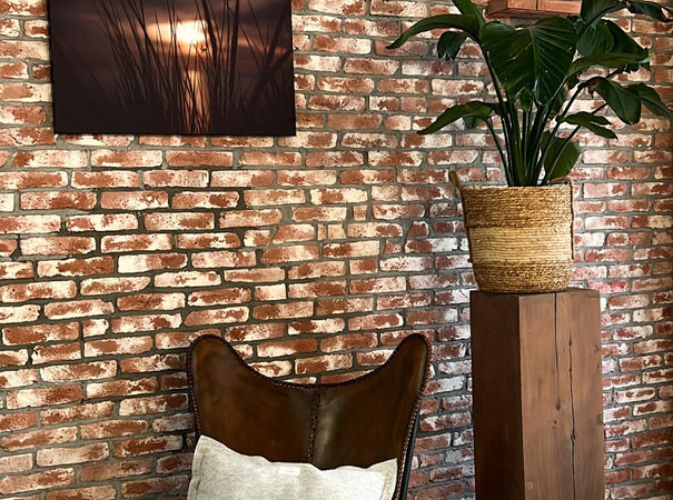 54 D88 F39 1 E11 48 DE A257 AB002 F970599