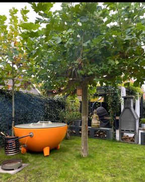 Jellinadetmar 307670399 893253904984767 1924957584869611469 n