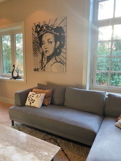 20220208 5136 2514019 387960 canvas LOUI JOVER Klantfoto 1