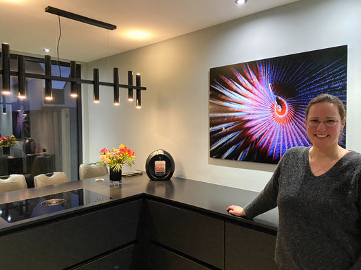 D433 C6 AC DFDC 42 BC A680 51 BBF6 A37094