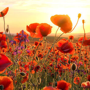 Steffen gierok 210323 152942