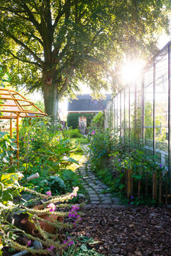 Fotoblok 3 anki wijnen