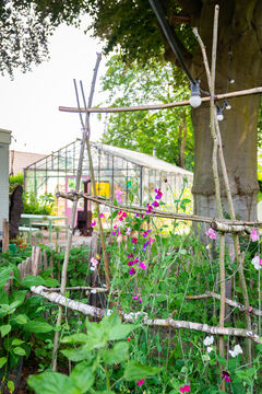 Fotoblok 6 anki wijnen