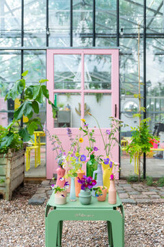 Fotoblok 5 anki wijnen